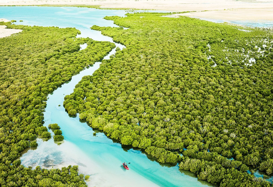 Purple Island (Al Khor Island), Al Khor, Qatar
